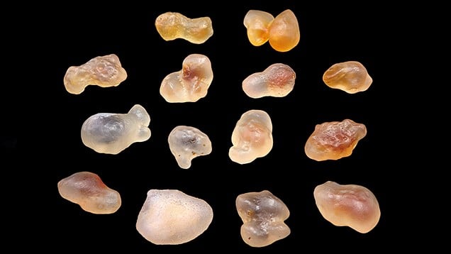 來自內蒙古阿拉善盟的糖心(果)瑪瑙原石通常呈現不規則狀外形且為粒狀礫石