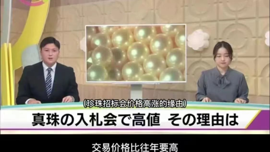 圖為日本NHK新聞報道珍珠招標會價格高漲