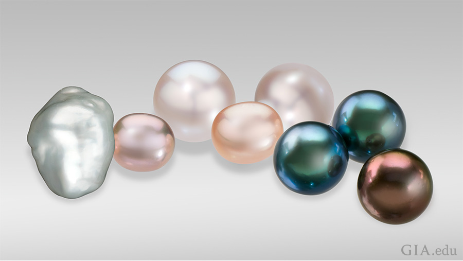 巴洛克式養殖珍珠；小花式粉紅色和桃色非圓形淡水養殖珍珠；圓形白色澳大利亞養殖珍珠；以及黑色和棕色的大溪地養殖珍珠