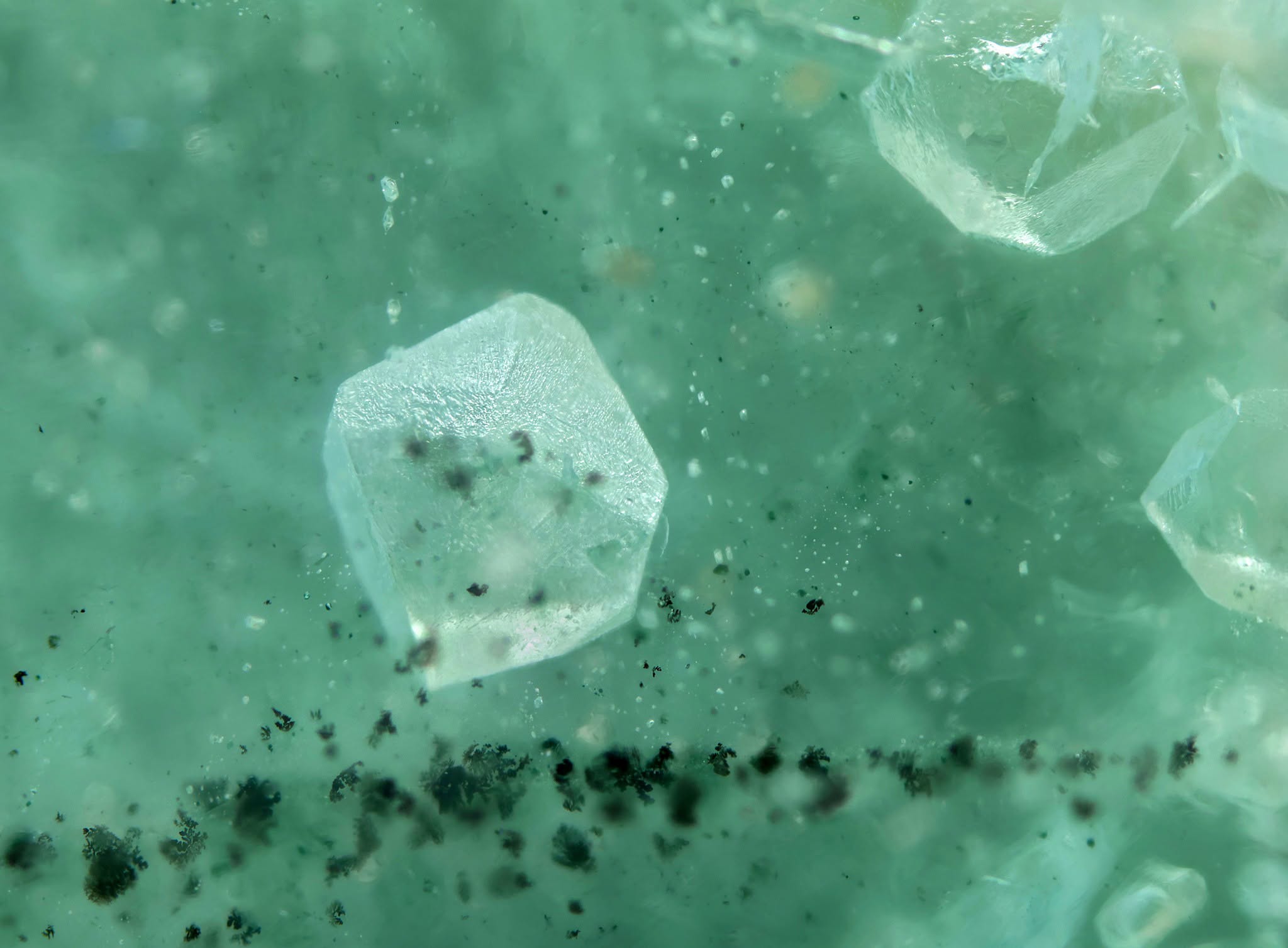 海藍寶石內部保留 β-石英外形的石英包裹體微距照片